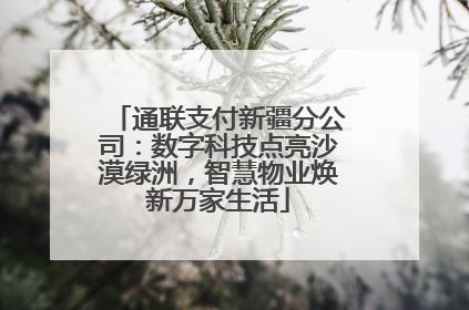 通联支付新疆分公司：数字科技点亮沙漠绿洲，智慧物业焕新万家生活