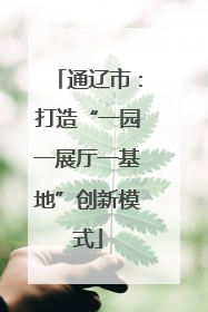 通辽市：打造“一园一展厅一基地”创新模式