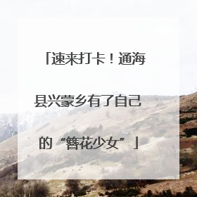 速来打卡！通海县兴蒙乡有了自己的“簪花少女”