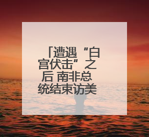 遭遇“白宫伏击”之后 南非总统结束访美行程