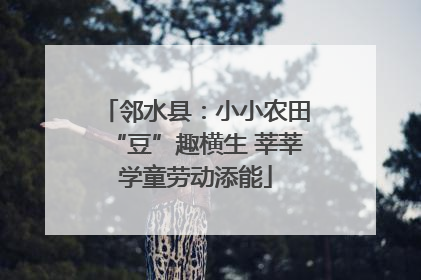 邻水县：小小农田“豆”趣横生 莘莘学童劳动添能