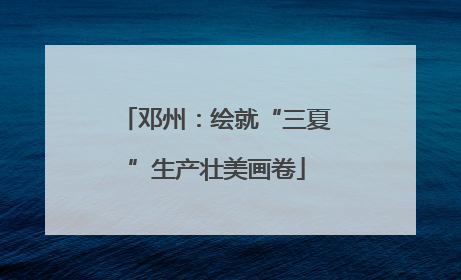 邓州：绘就“三夏”生产壮美画卷