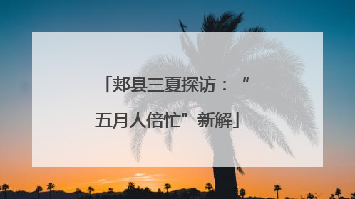 郏县三夏探访：“五月人倍忙”新解