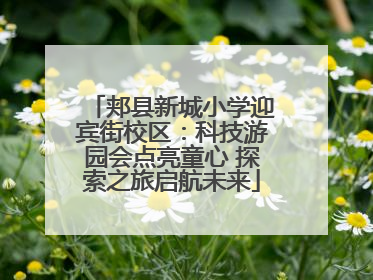 郏县新城小学迎宾街校区：科技游园会点亮童心 探索之旅启航未来