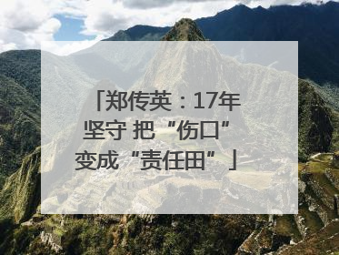 郑传英：17年坚守 把“伤口”变成“责任田”
