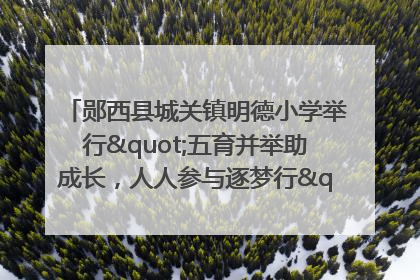 郧西县城关镇明德小学举行"五育并举助成长，人人参与逐梦行"庆六一活动