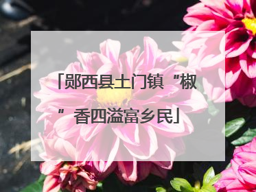 郧西县土门镇“椒”香四溢富乡民