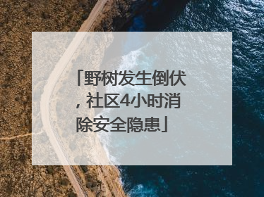 野树发生倒伏，社区4小时消除安全隐患