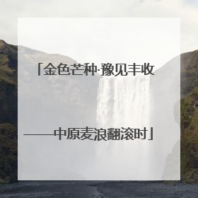 金色芒种·豫见丰收——中原麦浪翻滚时