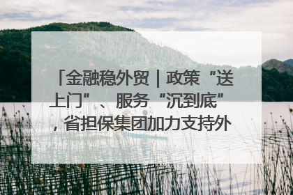 金融稳外贸｜政策“送上门”、服务“沉到底”，省担保集团加力支持外经贸高质量发展