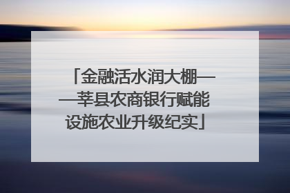 金融活水润大棚——莘县农商银行赋能设施农业升级纪实