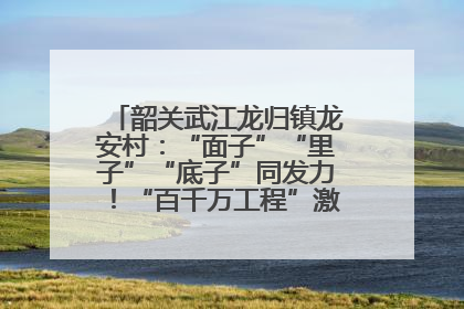 韶关武江龙归镇龙安村：“面子”“里子”“底子”同发力！“百千万工程”激活乡村新动能
