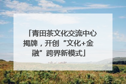 青田茶文化交流中心揭牌，开创“文化+金融”跨界新模式