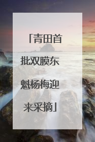 青田首批双膜东魁杨梅迎来采摘