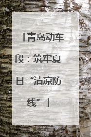 青岛动车段：筑牢夏日“清凉防线”