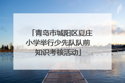 青岛市城阳区夏庄小学举行少先队队前知识考核活动