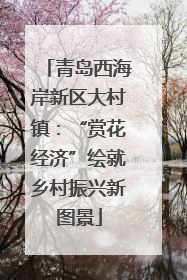 青岛西海岸新区大村镇：“赏花经济”绘就乡村振兴新图景