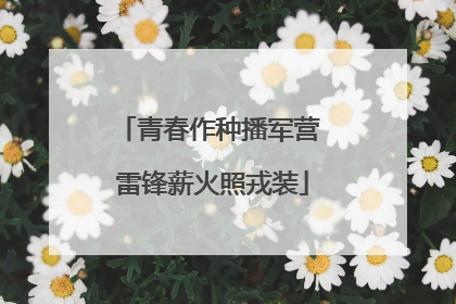 青春作种播军营 雷锋薪火照戎装