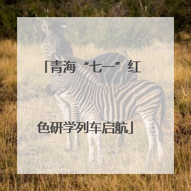 青海“七一”红色研学列车启航