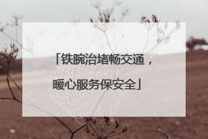 铁腕治堵畅交通，暖心服务保安全