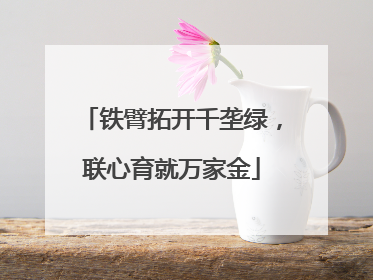 铁臂拓开千垄绿，联心育就万家金
