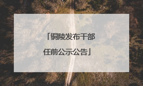 铜陵发布干部任前公示公告