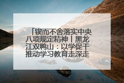 锲而不舍落实中央八项规定精神丨黑龙江双鸭山：以学促干推动学习教育走深走实 从小事入手写好“民生答卷”