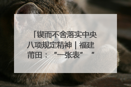 锲而不舍落实中央八项规定精神｜福建莆田：“一张表”“一张图”为基层减轻“数字负担”