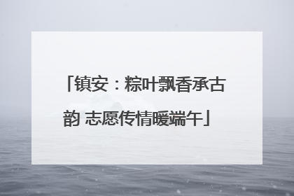 镇安：粽叶飘香承古韵 志愿传情暖端午