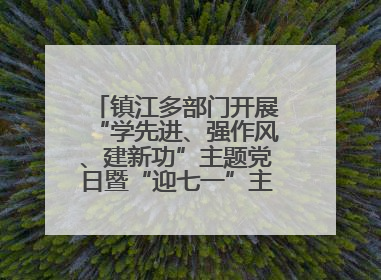 镇江多部门开展“学先进、强作风、建新功”主题党日暨“迎七一”主题活动