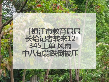 镇江市教育局局长给记者转来12345工单 风雨中八旬翁跌倒被压电瓶车下，扶不扶？镇江高职学子选择令人钦佩