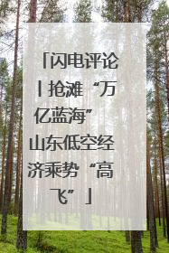闪电评论丨抢滩“万亿蓝海” 山东低空经济乘势“高飞”