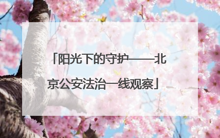 阳光下的守护——北京公安法治一线观察