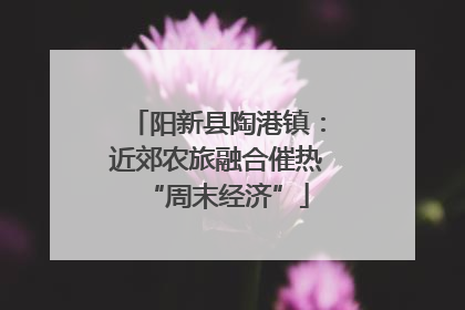 阳新县陶港镇：近郊农旅融合催热“周末经济”