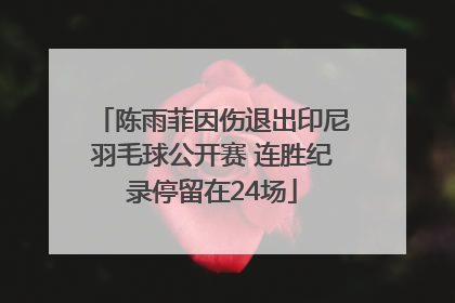 陈雨菲因伤退出印尼羽毛球公开赛 连胜纪录停留在24场