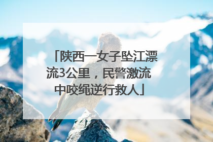 陕西一女子坠江漂流3公里，民警激流中咬绳逆行救人