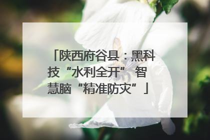 陕西府谷县：黑科技“水利全开” 智慧脑“精准防灾”
