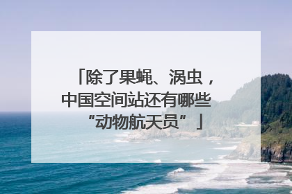 除了果蝇、涡虫，中国空间站还有哪些“动物航天员”
