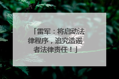 雷军：将启动法律程序，追究造谣者法律责任！