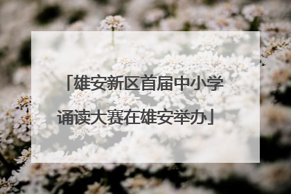 雄安新区首届中小学诵读大赛在雄安举办