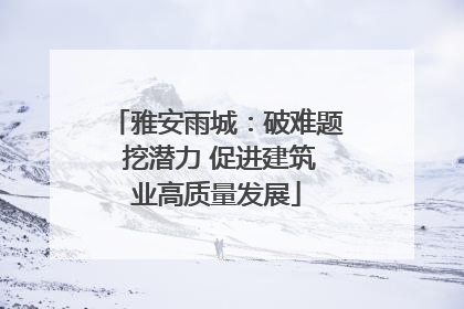 雅安雨城：破难题 挖潜力 促进建筑业高质量发展