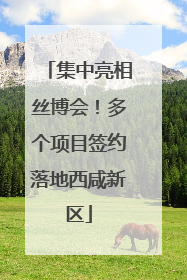 集中亮相丝博会！多个项目签约落地西咸新区