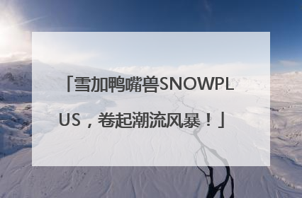 雪加鸭嘴兽SNOWPLUS，卷起潮流风暴！
