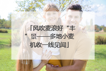 风吹麦浪好“丰”景——多地小麦机收一线见闻