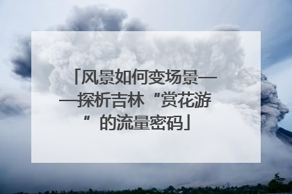 风景如何变场景——探析吉林“赏花游”的流量密码