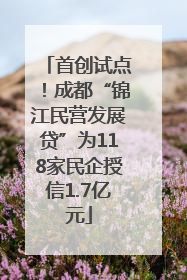 首创试点！成都“锦江民营发展贷”为118家民企授信1.7亿元