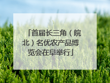 首届长三角（皖北）名优农产品博览会在阜举行