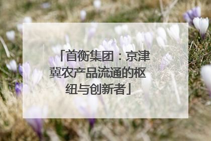 首衡集团：京津冀农产品流通的枢纽与创新者