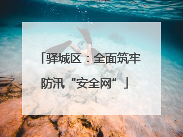 驿城区：全面筑牢防汛“安全网”
