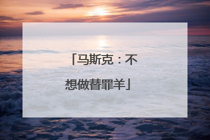 马斯克：不想做替罪羊